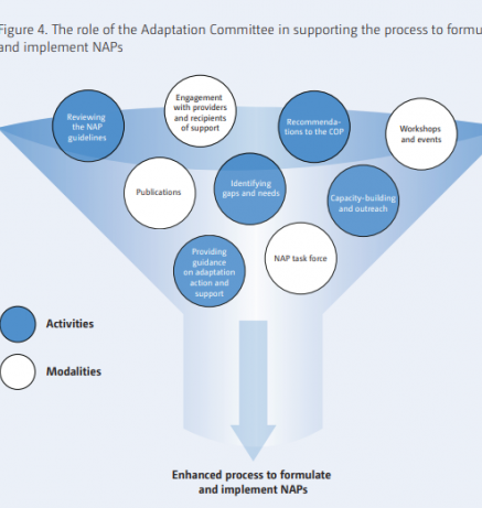 enhancing coherent adaptation_4.PNG