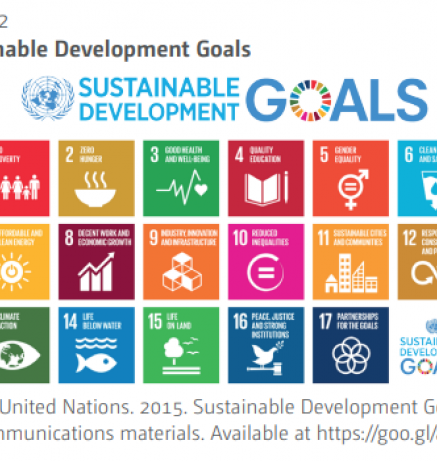 opportunities and options DRR_2