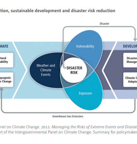 opportunities and options DRR_5