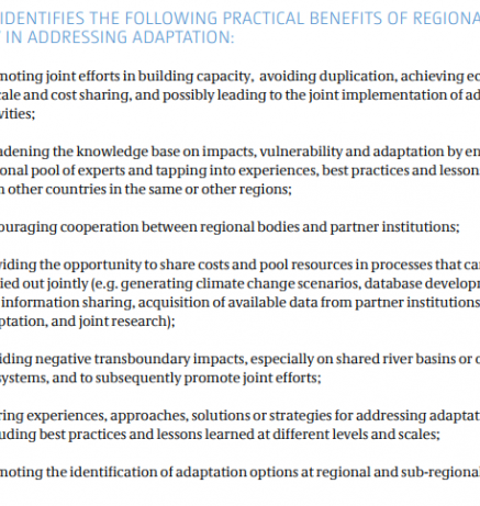 Benefits from regional synergies in addressing adaptation
