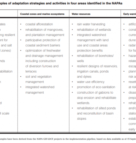 Examples of adaptation strategies and activities in four areas identified in the NAPAs