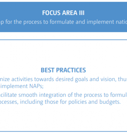 Focus Area III Best Practices