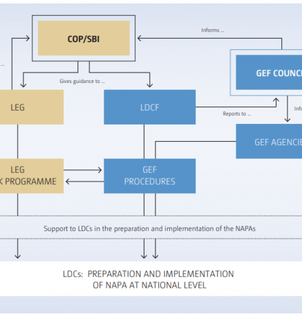 Global components and reporting lines under the NAPA process.PNG
