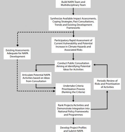 Main steps in developing NAPA