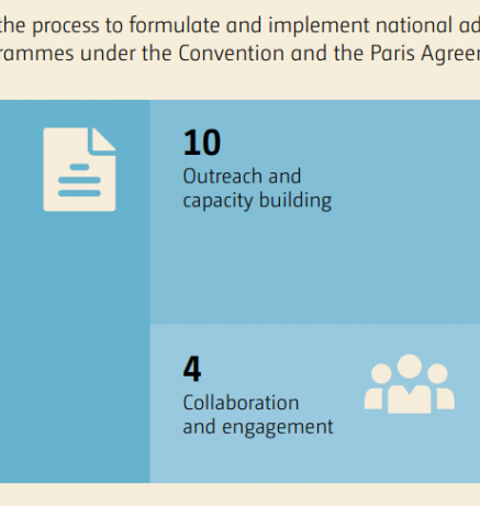 Activities related to the process to formulate and implement NAPs undertaken by relevant bodies and programmes under the Convention and the Paris Agreement