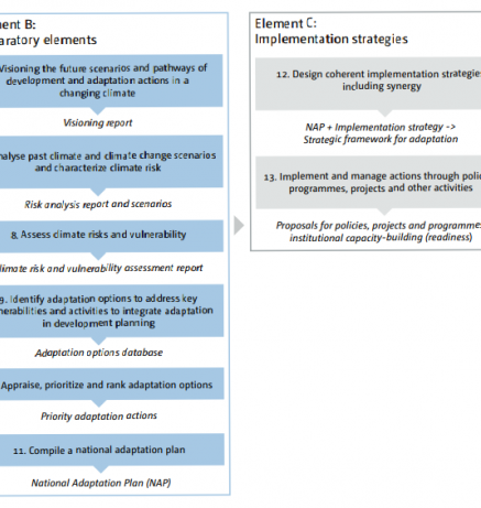 NAP process, showing steps where explicit consideration of vulnerable groups and communities may be applied