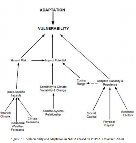 Vulnerability and adaptation in NAPA
