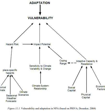 Vulnerability and adaptation in NPA