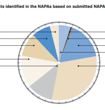 Number of priority projects identified in the NAPAs based on submitted NAPAs as of 15 September 2009