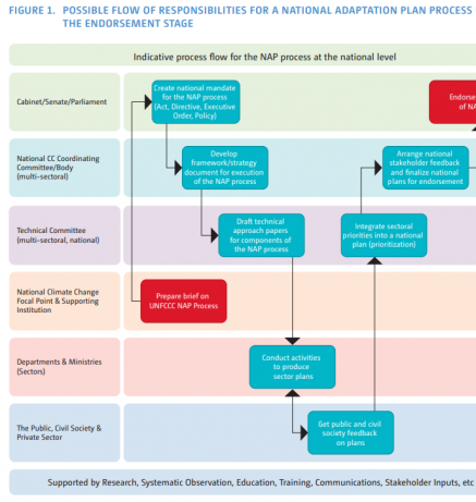 Possible flow of responsibilities for the NAP process until endorsement