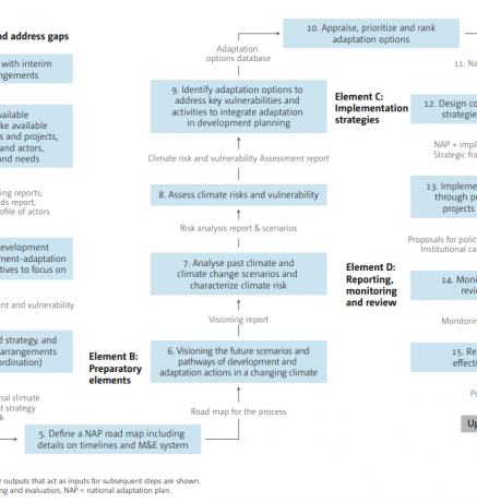 Sample process to formulate and implement NAPs