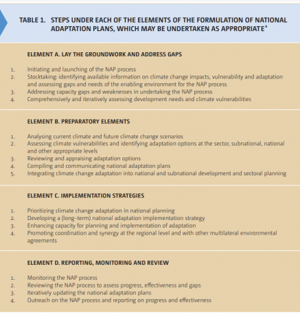 Steps under each element of the formulation of a NAP