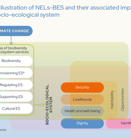  Illustration of NELs-BES and their associated impacts on the socio-ecological system
