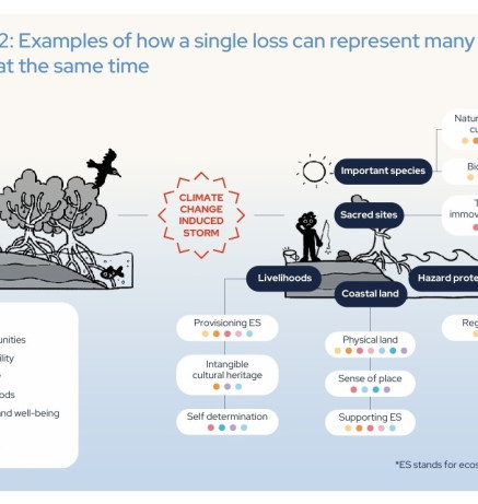 Examples of how a single loss can represent many other losses at the same time