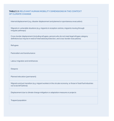 Relevant human mobility dimensions in the context of climate change