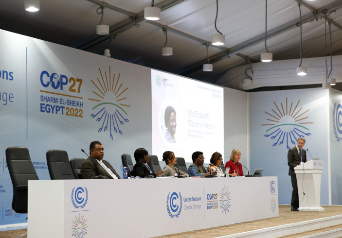 Side Event at COP 27