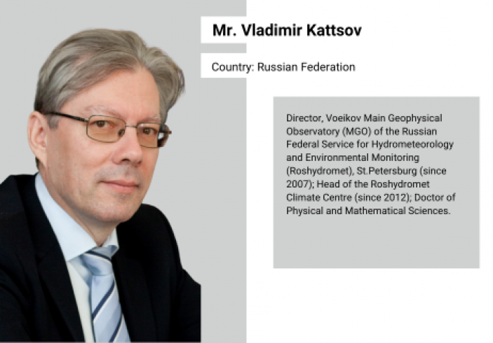 Mr. Vladimir Kattsov