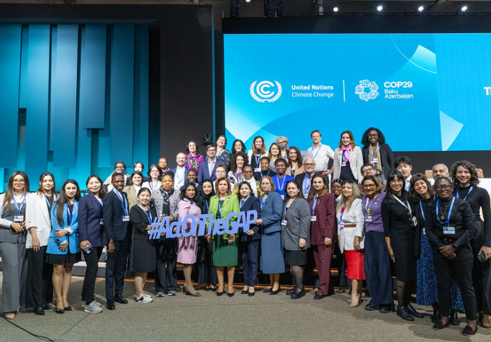 gender day at cop 29 transparency