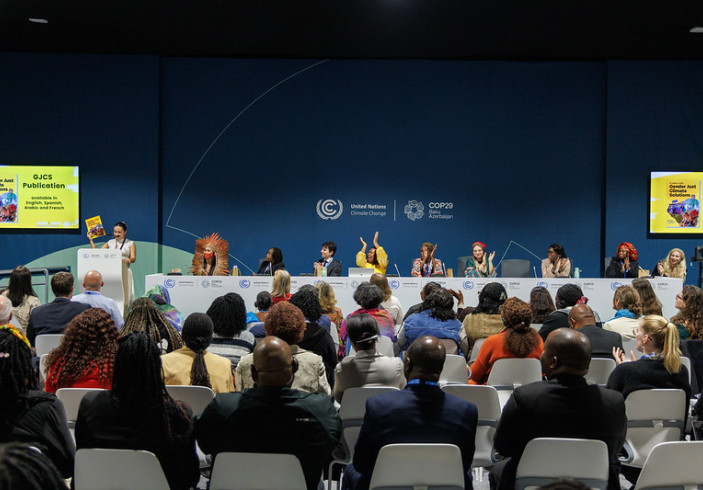 COP 29 side event 3