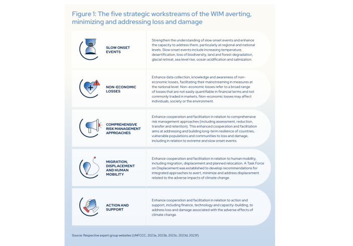 The five strategic workstreams of the wim_new_1