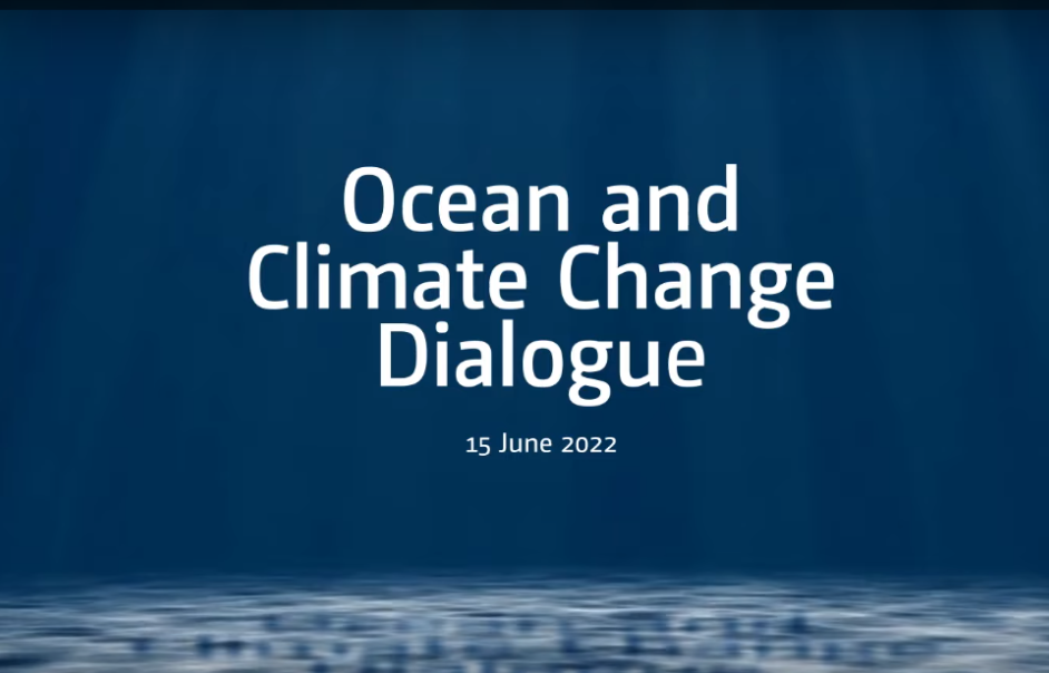 Ocean and Climate Change Dialogue 2022 Video