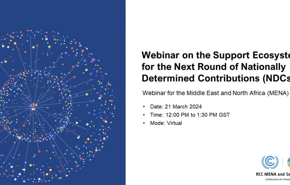RCC MENA & SA organized a webinar on the Support Ecosystem for the Next Round of NDCs in MENA