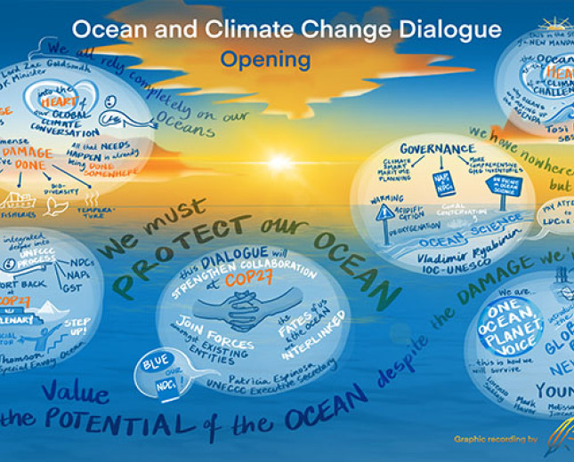 Ocean Dialogue 2022 Opening Art