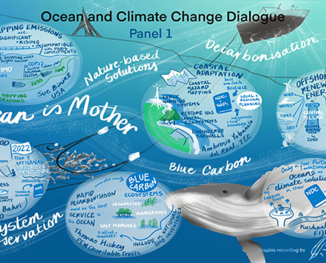 Ocean and Climate Change Dialogue 2022 Panel 1 Art