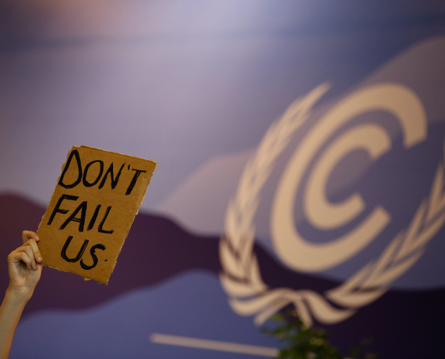 A person holds up a sign asking the world not to fail at COP27 in Egypt. 