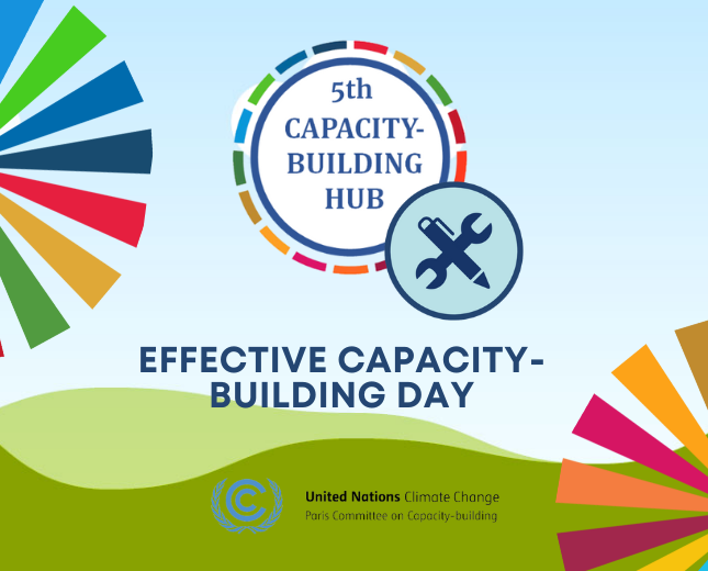 rainbow colored 5th capacity-building hub logo with effective capacity-building day typed in blue