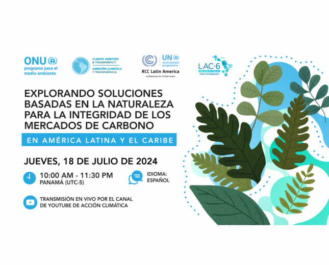 RCC Latin America is co-hosting a webinar on Exploring Nature-Based Solutions for Integrity of Carbon Markets with UNEP