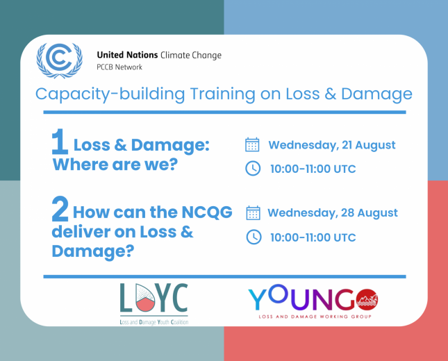 Flyer_Loss and Damage_Where are we