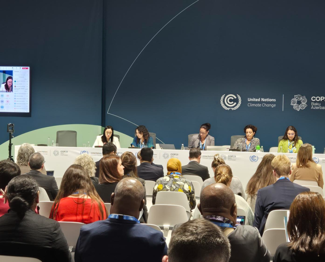 COP29 Side Event - SCF Presenters