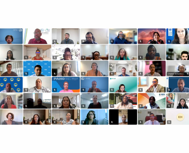 A family photo from a webinar 'Pathway to NDC 3.0: Regional Webinar on NDC Implementation and Investment Planning'