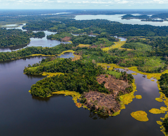 Aerial View of Lush Greenery and Water Bodies in Cameroon