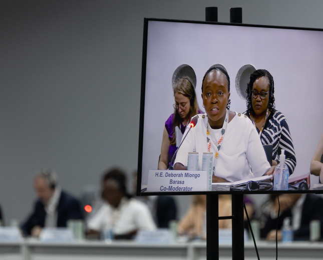 Third High-level ministerial dialogue on climate finance under the CMA - Mandated event 15 Nov. 2025 10:00h - 14:00 Photo: Moderator Mlongo