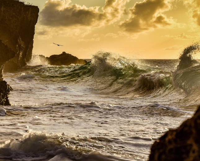Curacao, Coast, Shore, webinar RCC Caribbean