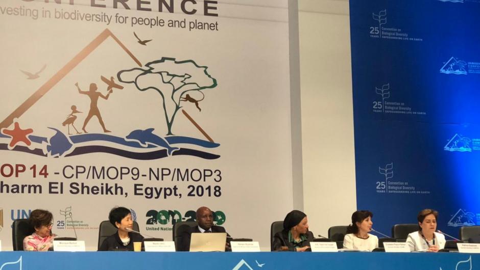 Biodiversity Conference
