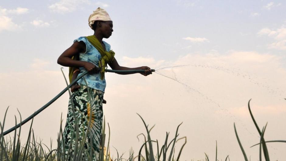 Woman participating in irrigation project in Mozambique