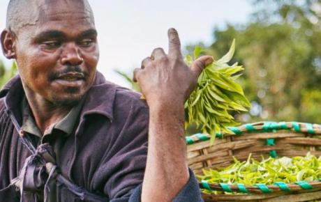 Sustainable brew