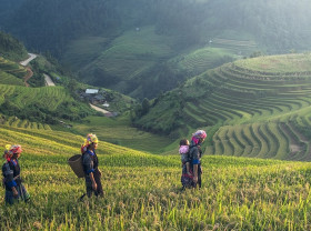 China women farmers