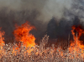 Firefighter wildfire