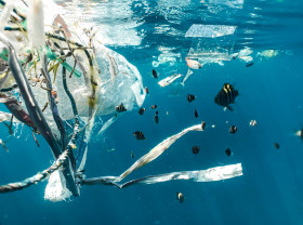 plastic debris floating underwater