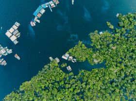 An aerial view of the Amazon River