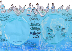 Visual summary of good practices and messages for COP28.