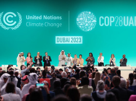 Delegates at COP28 applaud the final decision text at COP28