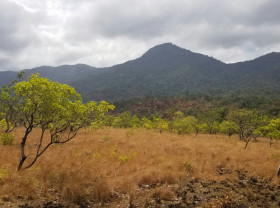 Guyana landscape