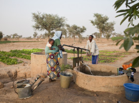 Niger - Family harvesting water