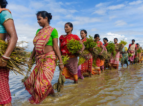 Women are seen queueing up to plant mangrove saplings along the riverbanks of the Matla river in Sundarbans, India.