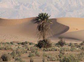 RCC MENA and SA will host a webinar on regional dialogue to accelerate support for formulation and implementation of national adaptation plans.
